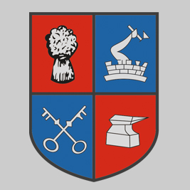 Saltley Logo