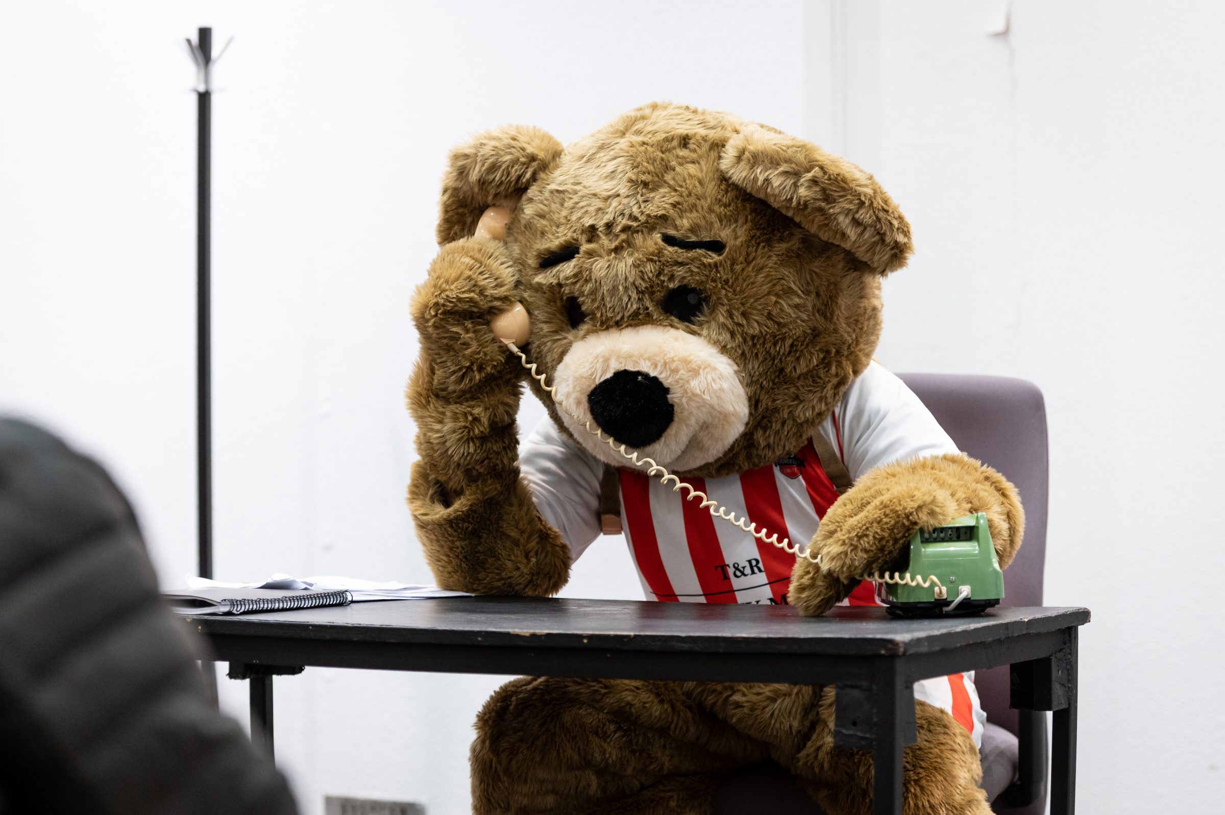  A person is dressed in a teddy bear costume sitting behind a desk. They are holding an old fashioned phone to their bear head ear. They are a football mascot and so on top of the bear costume they are wearing a red and white striped football shirt