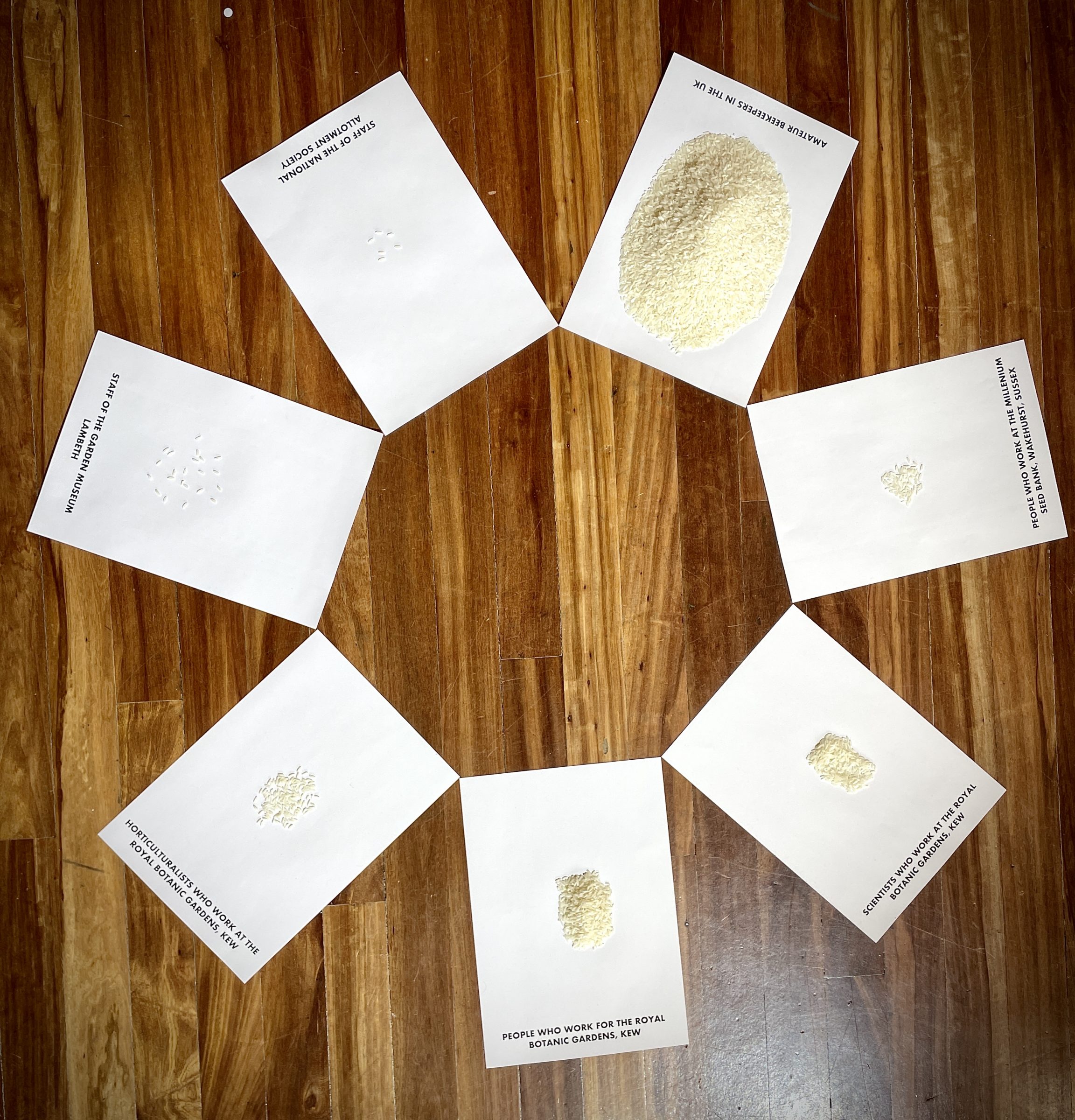 A photograph taken form above of 7 sheets of paper arranged in a circle and holding small piles of rice, including people who work at Kew Gardens, Staff of the National Allotment Association and amateur beekeepers.