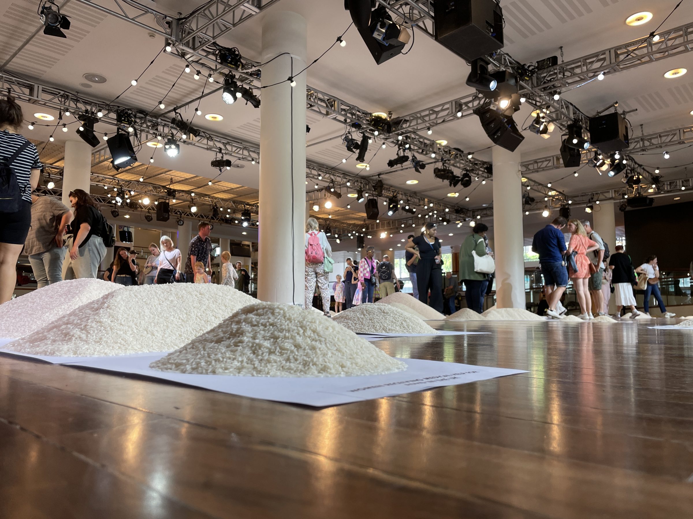 icture of the show Of All The People In All The World at the Southbank Centre. In the foreground are piles of rice on paper on the floor representing different human statistics. In the rest of the picture lots of people can be seen looking at other piles of rice.